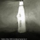 사랑우리 愛 동물병원 이미지