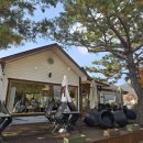 킹덤키즈-D 이미지