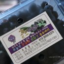 섬진강 더골드 이미지