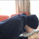 댕글 - 남양주시 다산중앙로 109 | 댕글