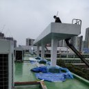 신답초교 이미지