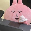 그로스코리아 | 취업은 운이라더니!! 잡코리아 포지션제안 취뽀후기