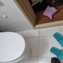 첨단3-5차호반리젠시빌 | 광주화장실쥐 변기·하수구 올라오는 이유와 즉시 차단법. 첨단호반리젠시빌3-5차