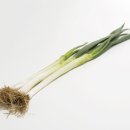 리안성형외과 이미지