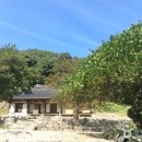 상지길 이미지