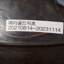 단야푸드앤바이오 이미지