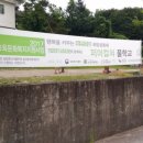 숲의틈(FOREST GAP)
