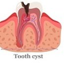 세인약국 이미지