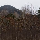 초이로직스