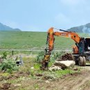 충주 사과밭 덮친 과수화상병..누적신고 200건 넘어(종합) 이미지