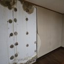 성원아파트 | 도봉구 창동 창동성원아파트 안방 벽 단열공사 후기