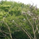 동천1리마을회관 이미지