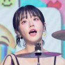 더블유게러지 이미지