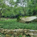 꽃신 구절초 이미지