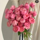 윤종합상사 | [부케] 부산 수담플라워 범일역 자유도매꽃시장💐