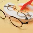 옵티컬 안테나 이미지