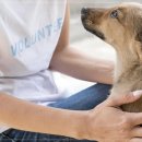 우리펫살롱 이미지