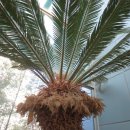 인삼랜드휴게소 이미지