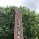 은평-074 | 230520 등산 일기 14탄 : 북한산 백운대 코스 ⛰ 버킷리스트 도장깨기