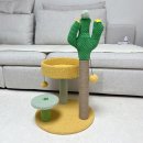 꽁냥꽁냥캣 이미지