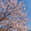 경기 안산 상록구 카페, 안산천 뷰를 즐길 수 있는 무해한 커피바