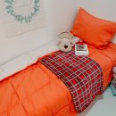 스테이나무 이미지