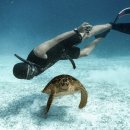 제20회 도우회 생활자기 전시회 | 60호. 프리다이빙과 요가가 만날 때