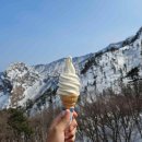 동화카서비스 이미지