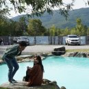 내촌애견 이미지