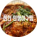 이리 | 천안 인생아구찜 / 청당동 알찜 아구찜 찐 단골집 공개 배달 후기 알 곤이 이리 차이