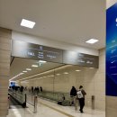 디어올리 이미지