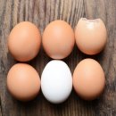 기운찬의원 이미지