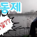 신동제 Daum카페
