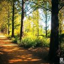 율동공원 이미지