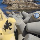 죽성 드림세트장 이미지