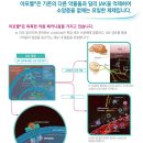 CM 동물병원 이미지