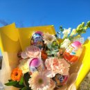 샤론  꽃  화원 이미지