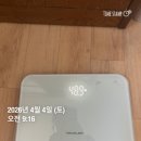 캡틴오락실 | [2026년 4월 첫째주일기] 멋진 여자되기 힘드네