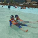 태권서관장 이미지