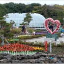 제주 유리의 성 이미지