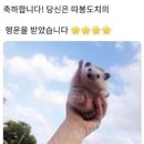 따봉 이미지