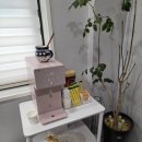 서현지압안마센터 이미지