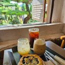 포렛 | 정읍 힐링정원과 고양이들을 볼 수 있는 카페 &#34;제이포렛&#34;