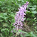 신선약수터 이미지