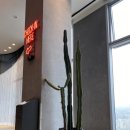 육회 꽃피다 이미지