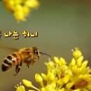 가평농원