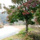 산모롱이