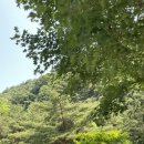 주성축산 이미지