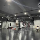 진근홍복싱센터 이미지