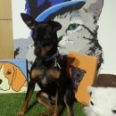 테리몽하우스 이미지